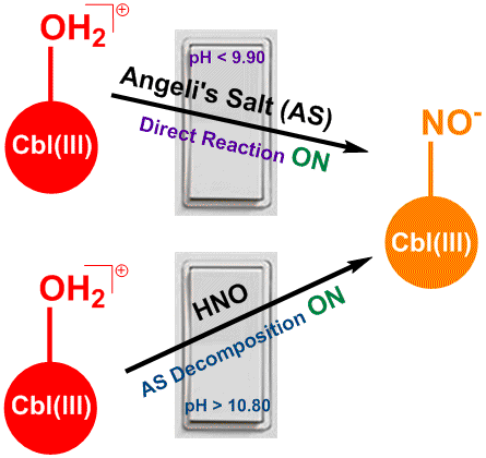 fig.gif