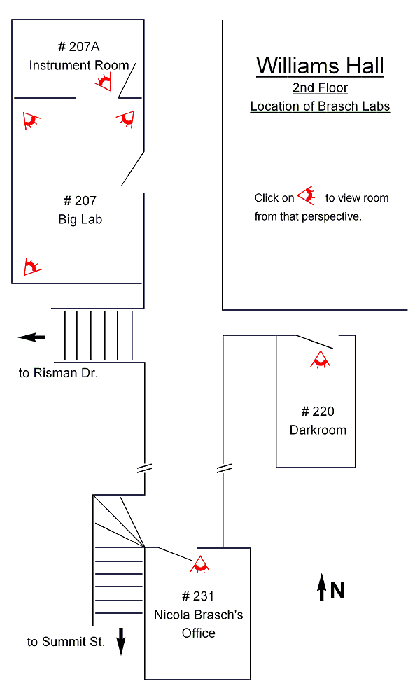 Williams Hall, Second Floor, Location of Brasch Labs