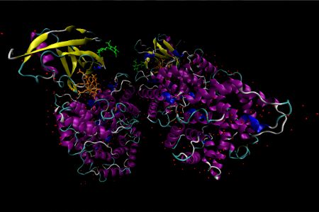 Holo-Intrinsic Factor