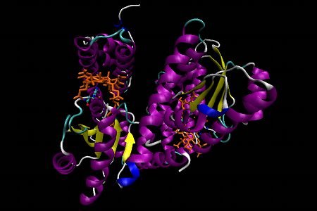 Methionine synthase