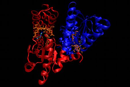 Methionine synthase