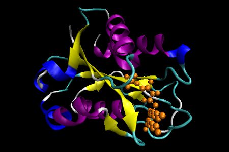 Flavodoxin